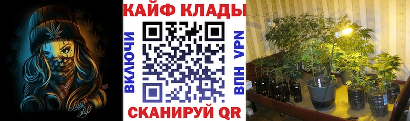 Как найти наркотики Малаховка Бошки Шишки  Меф мяу мяу  COCAIN  А ПВП  Гашиш 