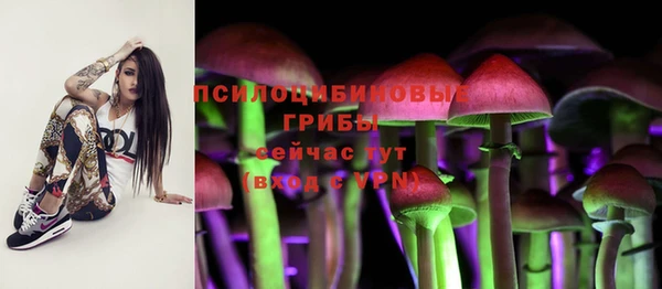 ECSTASY Няндома