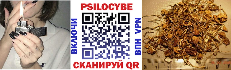 Псилоцибиновые грибы GOLDEN TEACHER Малаховка